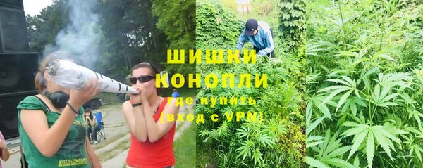 прущие грибы Майский