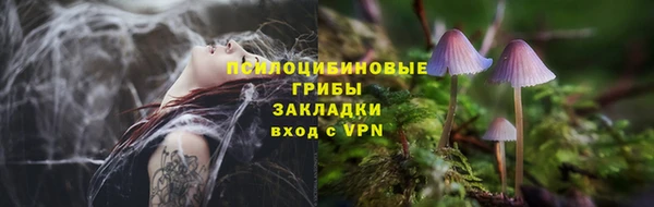 прущие грибы Майский