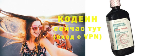 прущие грибы Майский
