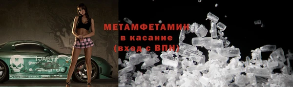 прущие грибы Майский