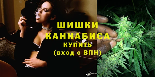 прущие грибы Майский