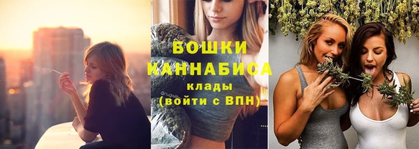 прущие грибы Майский