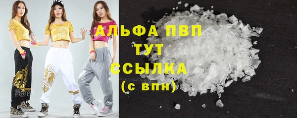прущие грибы Майский