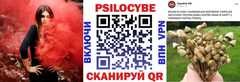 blacksprut ССЫЛКА  Усть-Джегута  Галлюциногенные грибы мухоморы  закладки 
